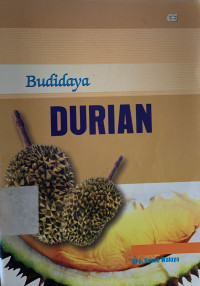 Image of Budidaya durian
